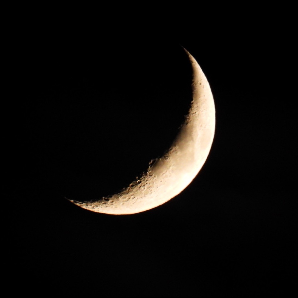 Photographer’s Guide to the Nikon Coolpix P1000 - Picture 8 of 13
